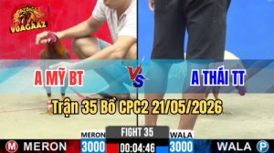 Xem trận 35 CPC2 21/5/2026 trên Vua Gà AZ