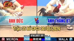 Xem trận 35 CPC3 30/5/2026 trên Vua Gà AZ