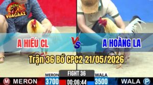 Xem trận 36 CPC2 21/5/2026 trên Vua Gà AZ
