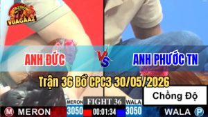 Xem trận 36 CPC3 30/5/2026 trên Vua Gà AZ