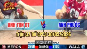 Xem trận 37 CPC3 30/5/2026 trên Vua Gà AZ
