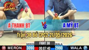 Xem trận 38 CPC2 21/5/2026 trên Vua Gà AZ