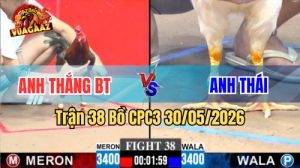 Xem trận 38 CPC3 30/5/2026 trên Vua Gà AZ