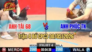Xem trận 4 CPC3 30/5/2026 trên Vua Gà AZ