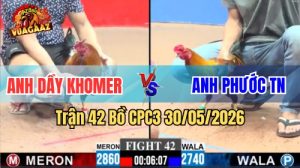 Xem trận 42 CPC3 30/5/2026 trên Vua Gà AZ