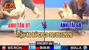 Xem trận 46 CPC3 30/5/2026 trên Vua Gà AZ