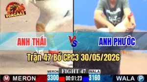 Xem trận 47 CPC3 30/5/2026 trên Vua Gà AZ