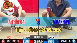 Xem trận 5 CPC2 21/5/2026 trên Vua Gà AZ