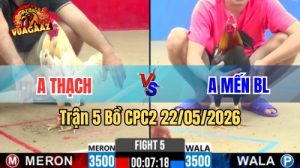 Xem trận 5 CPC2 22/5/2026 trên Vua Gà AZ