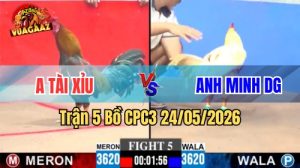 Xem trận 5 CPC3 24/5/2026 tại VUAGAAZ