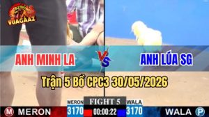 Xem trận 5 CPC3 30/5/2026 trên Vua Gà AZ