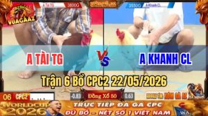 Xem trận 6 CPC2 22/5/2026 trên Vua Gà AZ