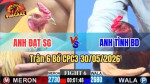 Xem trận 6 CPC3 30/5/2026 trên Vua Gà AZ