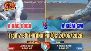Xem trận 7 Bồ Thường Phước 24/5/2026 tại VUAGAAZ