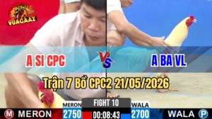 Xem trận 7 CPC2 21/5/2026 trên Vua Gà AZ