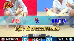 Xem trận 7 CPC2 22/5/2026 trên Vua Gà AZ