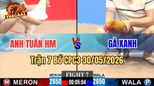 Xem trận 7 CPC3 30/5/2026 trên Vua Gà AZ