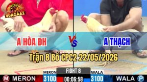 Xem trận 8 CPC2 22/5/2026 trên Vua Gà AZ