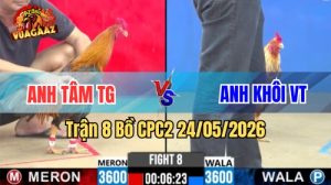 Xem trận 8 CPC2 24/5/2026 tại VUAGAAZ