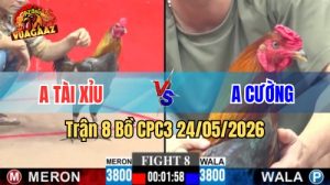 Xem trận 8 CPC3 24/5/2026 tại VUAGAAZ