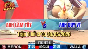 Xem trận 8 CPC3 30/5/2026 trên Vua Gà AZ