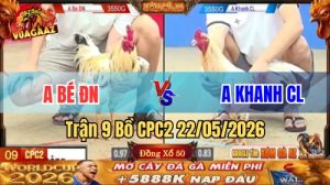 Xem trận 9 CPC2 22/5/2026 trên Vua Gà AZ