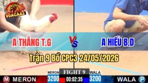Xem trận 9 CPC3 24/5/2026 tại VUAGAAZ