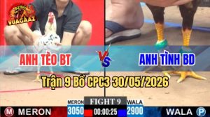 Xem trận 9 CPC3 30/5/2026 trên Vua Gà AZ
