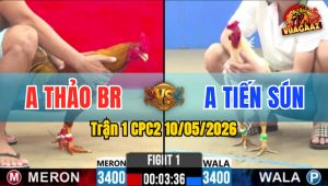 Trận 1 CPC2 10/05/2026 - Gà Bướm Anh Tiến Ra Quân Quá Thuận Lợi