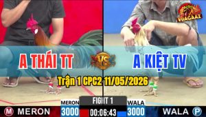 Trận 1 CPC2 11/05/2026 - Bướm Tướng Xấu Nhưng Xài Cựa Hạ Điều Nhanh Gọn