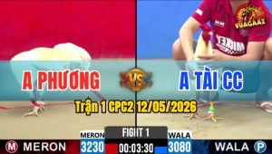 Trận 1 CPC2 12/05/2026 - Anh Phương Lụm Anh Tài Vì Tội Chấp Ngông