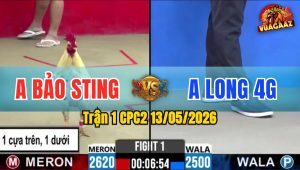 Trận 1 CPC2 13/05/2026 - Idol Bảo Sting Gặp Anh Long Ở Trận Mở Màn