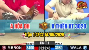 Trận 1 CPC2 14/05/2026 - Anh Hoà Lớn Hơn 4 Chấm Đá Bao Thấm