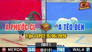 Trận 1 CPC2 15/05/2026 - Gà Điều Anh Phước CL Đá Đòn Quá Hiểm