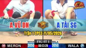 Trận 1 CPC3 11/05/2026 - Đỏ Dở Giò Là Đâm Hạ Xanh Gọn Gàng
