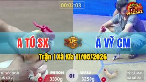 Trận 1 Xà Xía 11/05/2026 - Đỏ Đâm Như Giang Hồ Hạ Xanh Gọn Gàng
