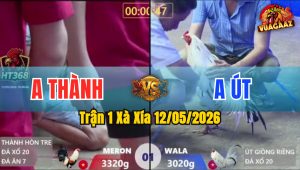 Trận 1 Xà Xía 12/05/2026 - Gà Anh Thành Mở Bát Quá Mát Tay