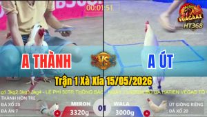 Trận 1 Xà Xía 15/05/2026 - Anh Thành Mở Bát Làm Thịt Anh Út