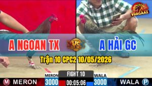 Trận 10 CPC2 10/05/2026 - Anh Ngoan Đá Không Cho Đối Thủ Cơ Hội