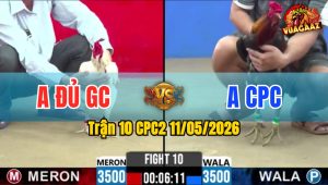 Trận 10 CPC2 11/05/2026 - Bướm Đá Cây Hiểm Đâm Điều Gãy Dò Thua Nhanh