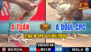 Trận 10 CPC3 11/05/2026 - Doul Campuchia Trả Độ Hôm Nay Tại C3