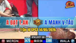 Trận 10 CPC3 14/05/2026 - Gà Anh Đạt Tân An Nạp Siết 1 Cơ Lụm Lúa