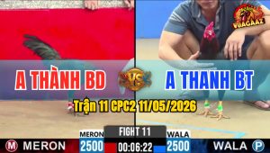 Trận 11 CPC2 11/05/2026 - Đổ Tốc Độ Lấy Tiền Nhanh Lẹ