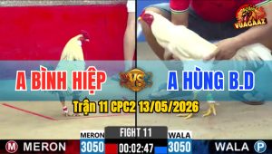 Trận 11 CPC2 13/05/2026 - Anh Hùng BD Không Cho Đỏ Có Cơ Hội Nào