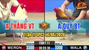 Trận 11 CPC2 14/05/2026 - Anh Thắng Vũng Tàu Hạ Gọn Anh Quý Bến Tre