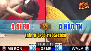 Trận 11 CPC3 11/05/2026 - Gà Hiệu Anh Sĩ Ra Tiễn Khét Lên Đường