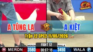 Trận 12 CPC2 11/05/2026 - Đỏ Đá Muốn Hư Xanh Xong Bỏ Chạy Bất Ngờ
