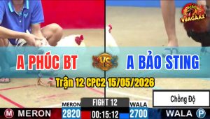 Trận 12 CPC2 15/05/2026 - Idol Bảo Sting Đụng Phải Đối Thủ Cứng Cựa
