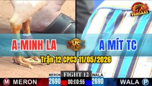 Trận 12 CPC3 11/05/2026 - Đỏ Đá Cho Xanh Phá Đôi Hết Đường Binh