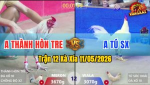 Trận 12 Xà Xía 11/05/2026 - Úa Gãy Giò Hết Phản Sau Vài Chân Giao